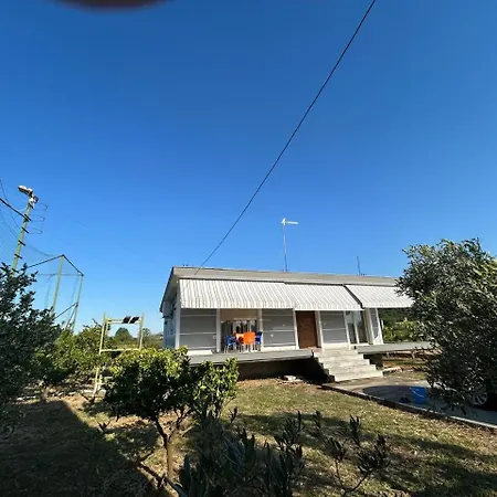 Thomaj فيلة Velipojë